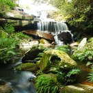 Waterval_cat