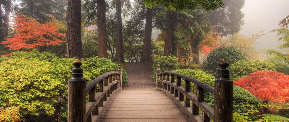 Teun's Tuinposters - De mooiste foto's op tuinposter of tuindoek.