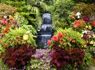 Teun's Tuinposters - Watertrap Teun's Tuinposters - Watertrap