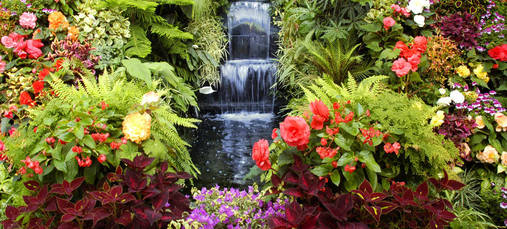 Tuinposter Watertrap