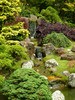 Teun's Tuinposters - Waterval door rijke begroeiing Teun's Tuinposters - Waterval door rijke begroeiing