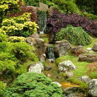 Tuinposter: Waterval door rijke begroeiing