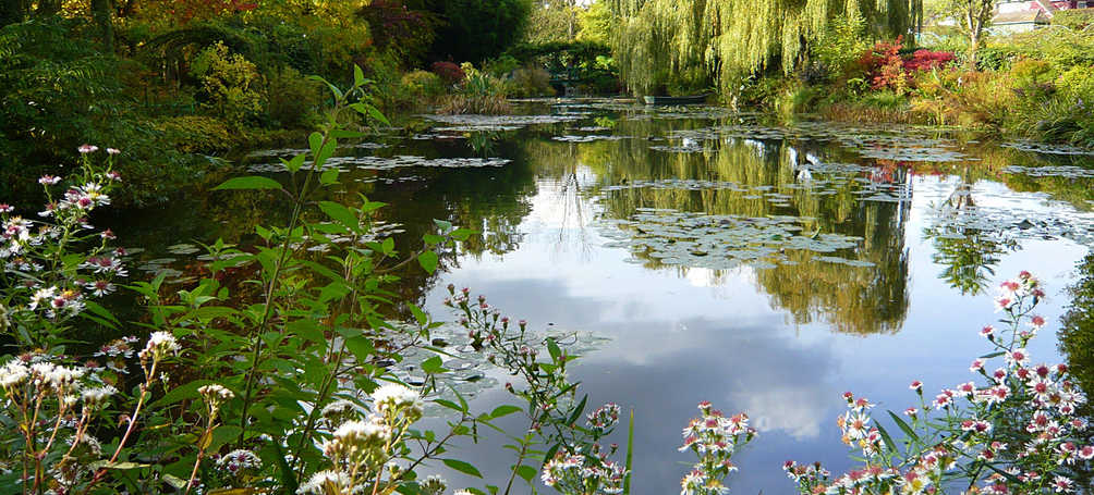 Tuinposter Rimpelloos meer met waterlelies en bomen
