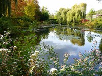 Tuinposter_rimpelloos-meer-met-waterlelies-en-bomen