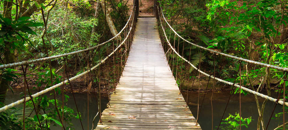 Tuinposter hangbrug