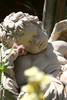 Teun's Tuinposters - Engel Teun's Tuinposters - Engel