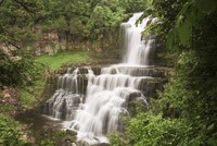 Tuinposter_waterval