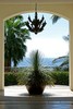 Teun's Tuinposters - Doorkijkje Teun's Tuinposters - Doorkijkje