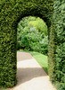 Teun's Tuinposters - Doorkijk (boog)