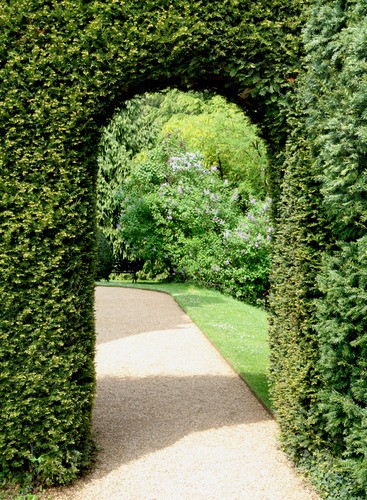 Teun's Tuinposters - Doorkijk (boog)