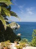 Teun's Tuinposters - Tropical Teun's Tuinposters - Tropical