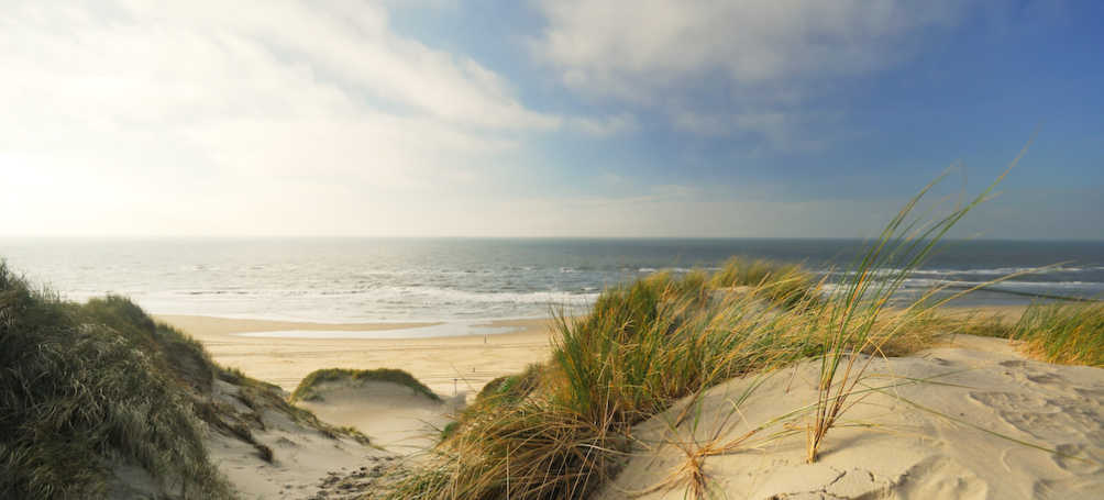 Tuinposter Duinen
