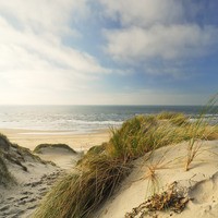 Tuinposter_duinen