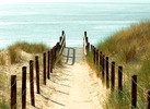 Teun's Tuinposters - Strandpad Teun's Tuinposters - Strandpad