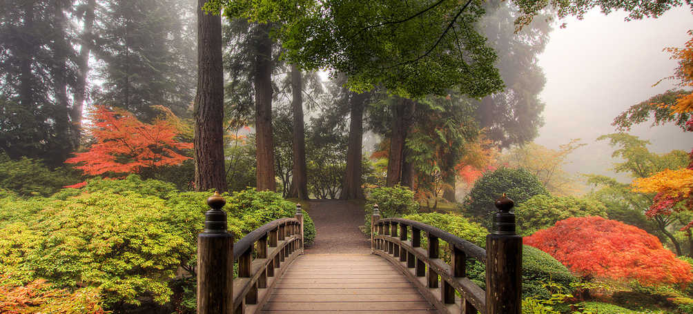 Tuinposter Japanse brug