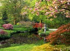 Teun's Tuinposters - Japanse tuin 2