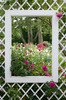 Teun's Tuinposters - Doorkijk in trellisscherm