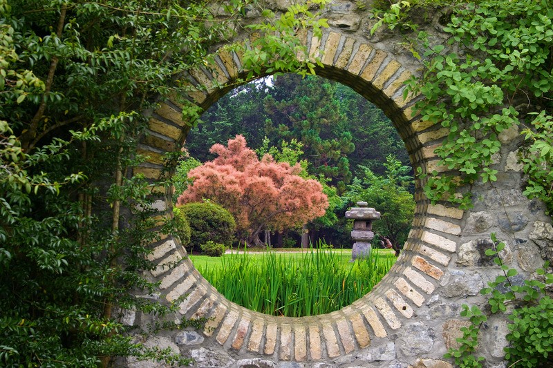 Tuinposter 'Doorkijk naar japanse tuin'