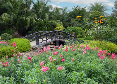 Tuinposter van Bloementuin met brug