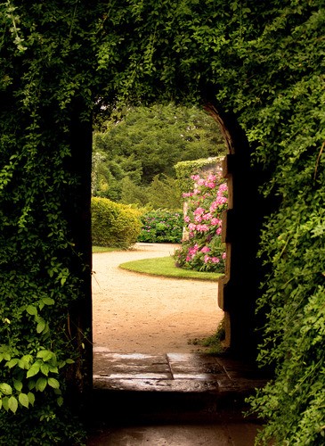 Teun's Tuinposters - Doorkijk groene poort