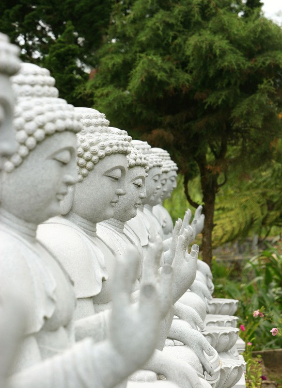 Tuinposter 'Boeddha beelden'