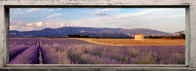 Tuinposter 'Raam met lavendel veld'