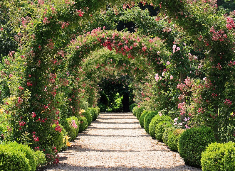 Tuinposter 'Rozenbogen tunnel'