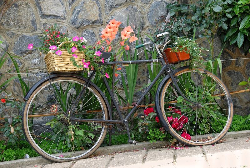 Tuinposter 'Fiets met manden'