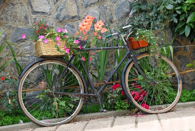 Teun's Tuinposters - Fiets met manden