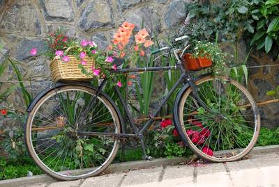 Tuinposter van Fiets met manden