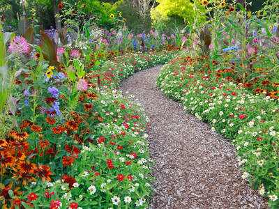Tuinposter van Pad door bloementuin