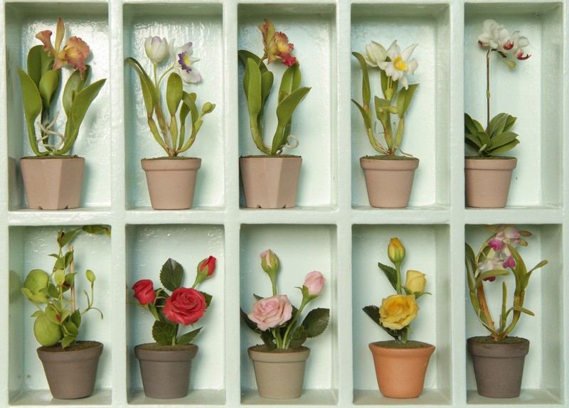 Tuinposter 'Bloemen in kast 1'