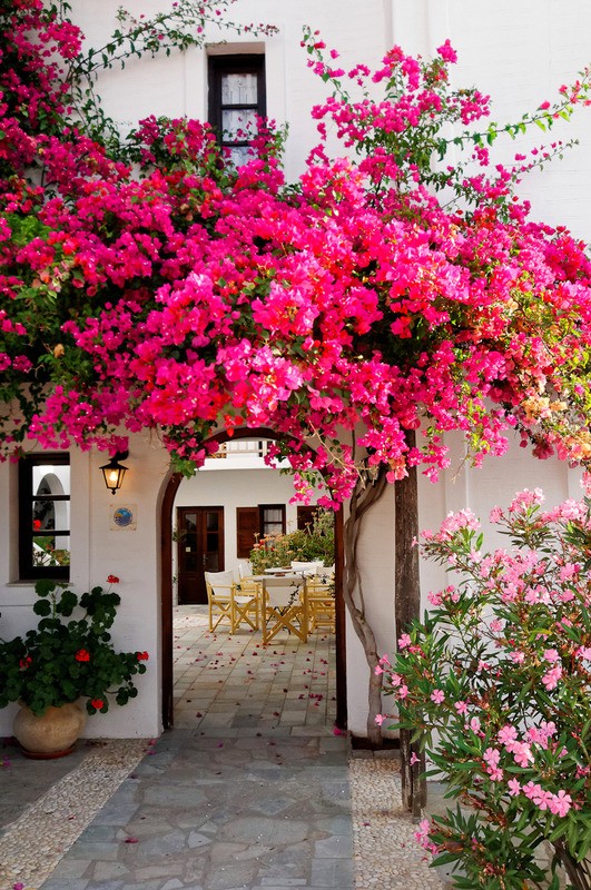 Tuinposter 'Doorkijk met roze bloemen'