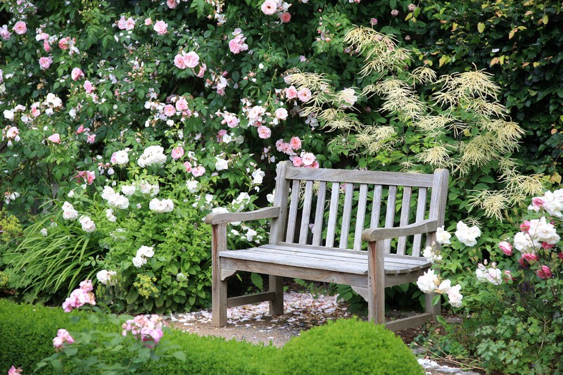 Tuinposter 'Houten bank in tuin'