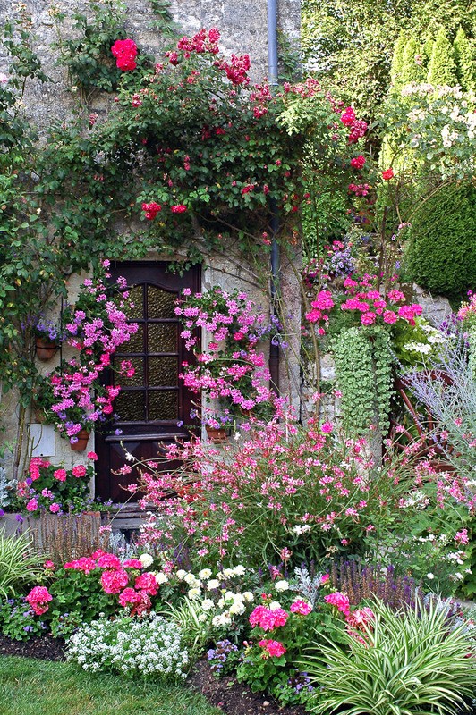 Tuinposter 'Deur met roze bloemen'