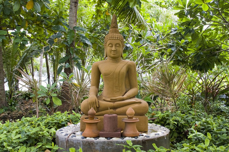 Tuinposter 'Boeddha tussen planten'