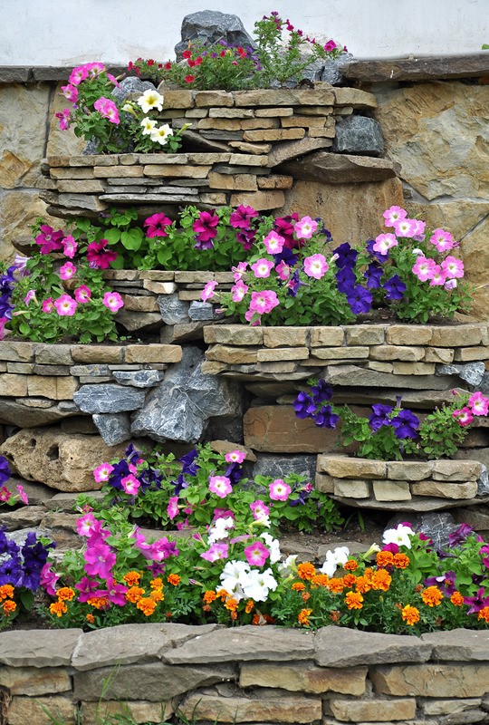 Tuinposter 'Bloemen (stenen)'