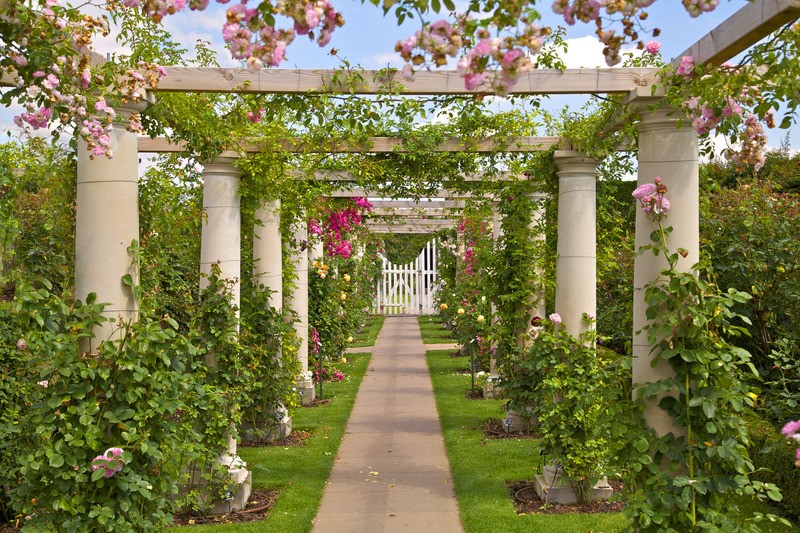 Tuinposter 'Tunnel roze bloemen'