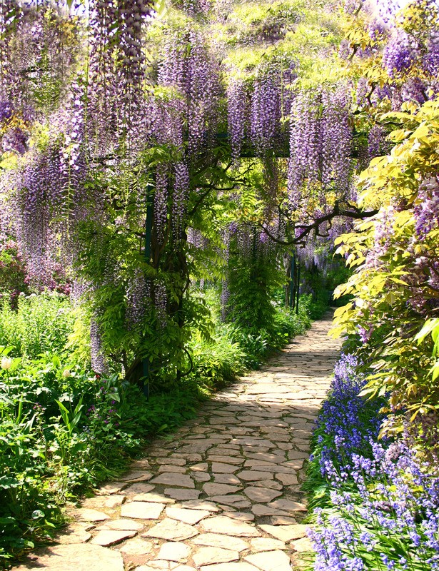 Tuinposter 'Pad blauwe regen'