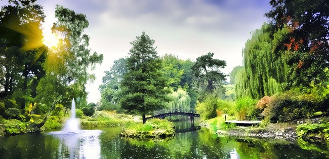 Tuinposter van Vijver in een park