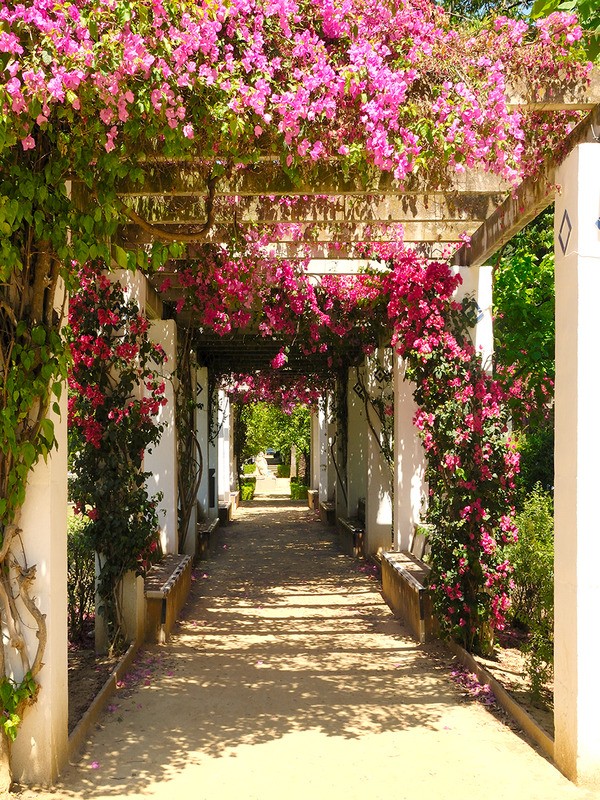 Tuinposter 'Doorkijk roze bloemen'