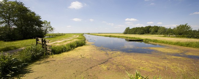 Tuinposter van Noord-hollands landschap