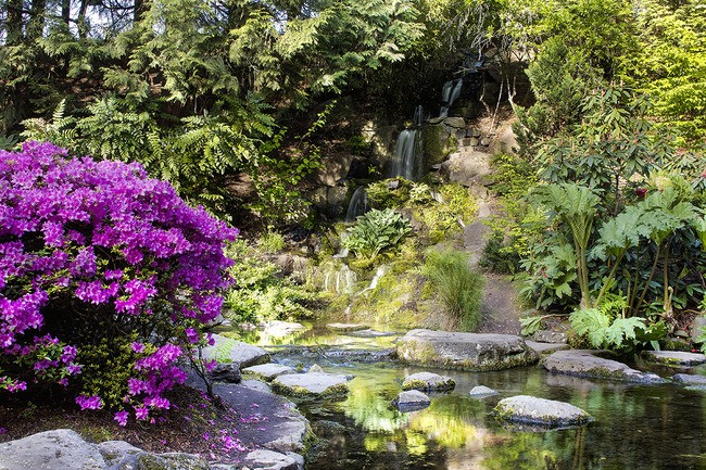 Teun's Tuinposters - Vijver met watervalletje