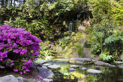 Tuinposter van Vijver met watervalletje
