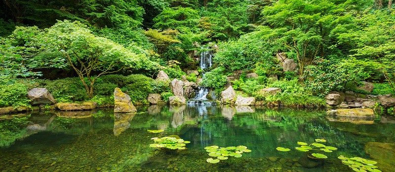 Tuinposter 'Panorama van Japanse tuin'