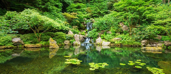 Teun's Tuinposters - Panorama van Japanse tuin