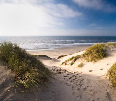 Tuinposter van Pad door de duinen