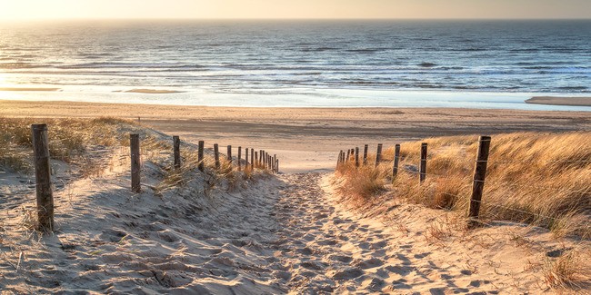 Teun's Tuinposters - Strandpad