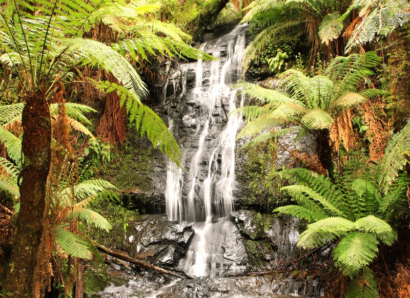 Tuinposter 'Waterval'