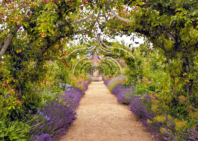 Tuinposter 'Lavendel pad'